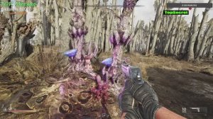 Pioner Мухоморы для берсерков где найти 10 голубых грибов