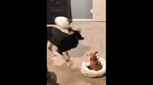 Обидел мальчишку.