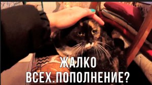 Давно не виделись? Жалко малышей - дикари растут 😢