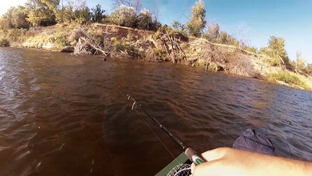 Обзор блесен Mottomo Spin Blade R