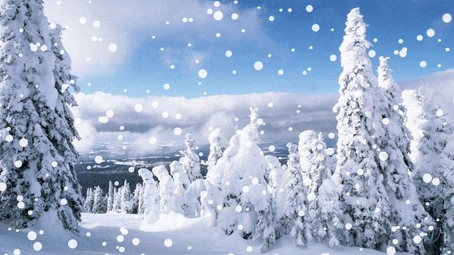 Алёна Росс, Алексей Романюта - 