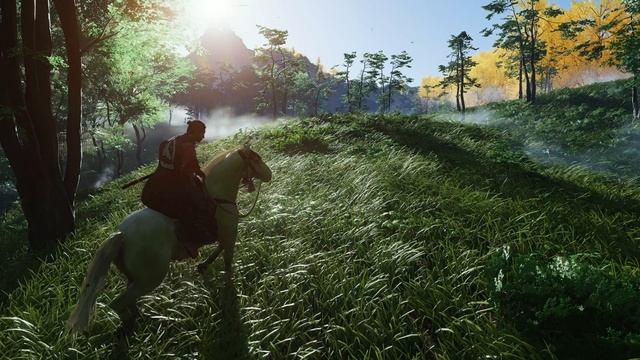 Ghost of Tsushima 12