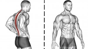 Правильная ОСАНКА | Упражнения для Улучшения ОСАНКИ