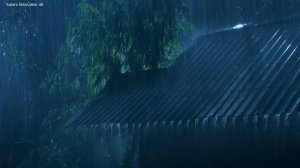 Видео от Бессонницы с Дождём по Металлочерепице и Громом Ночью 🌧️