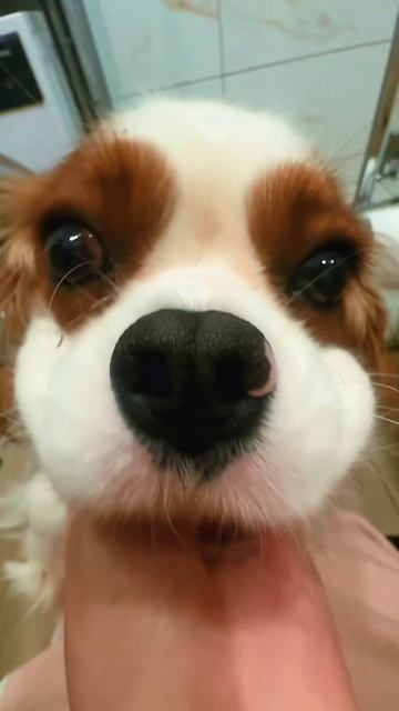 Уберите телефон от меня