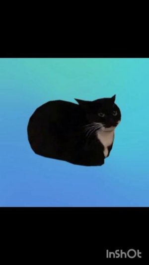 POV: тот самый урок истории