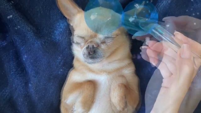 ASMR for lovers of the echo effect 🗣️ смотреть онлайн