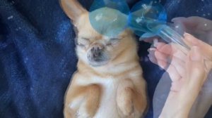 ASMR for lovers of the echo effect 🗣️