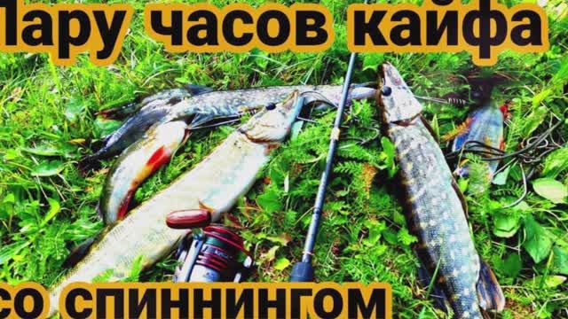 Рыбалка-это кайф смотреть онлайн