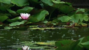 День рождения