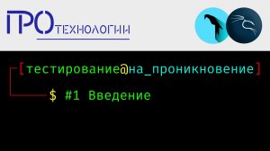 Pentest 1 - Введение