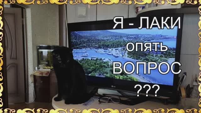 Лаки любопытный и у него опять вопрос. смотреть онлайн