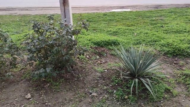 Один из дней города Евпатории | 5 февраля 2021 г | Крым | ХАН БАТОН XAH 6ATOH / VID_20210205_140838 смотреть онлайн