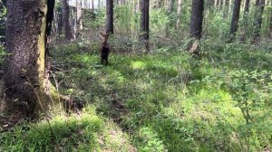 Моё наследство от бабушки .