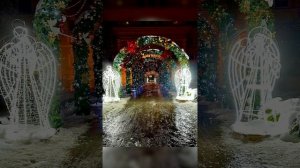 В Рождественские дни в Дивеево. 2026