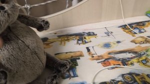 Снел какую то фигню с басиками под песню из геометри Даш слотэрхаус