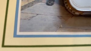 Отношения с соседями по даче / козни соседей