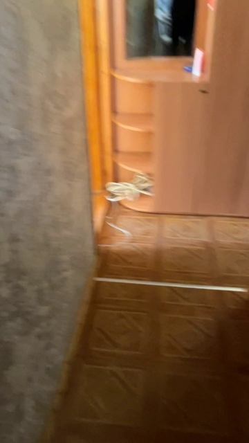 серебрянка 4