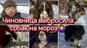 Чиновница выбросила собак на мороз.Каток.