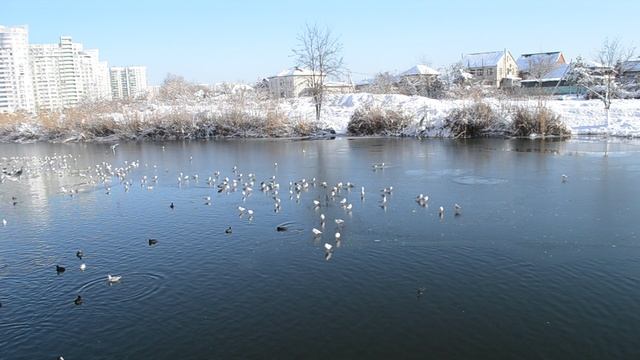 14=01=2026 КМР (5) КАРАСУН. КРАСНОДАР. смотреть онлайн