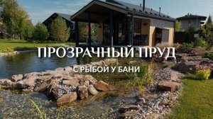 Загородный участок мечты: зеркальный пруд, рыба и баня — почему так чисто?