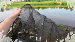 Нахлебники 3