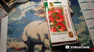 Томаты, перцы, огурцы - что посею в 2026 году.