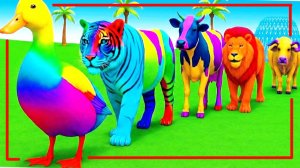 Мультики про диких животных. Яркие животные: утка и тигр. Смотреть онлайн Мультики для детей.