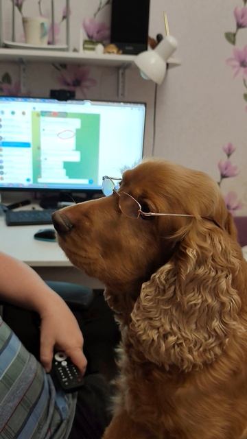 Наш главный админ и модератор Ричард)) ❤ смотреть онлайн