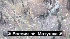 🔴Наши герои дроноводы наносят визиты на опорники противника, уничтожая укрофашистов.🔴