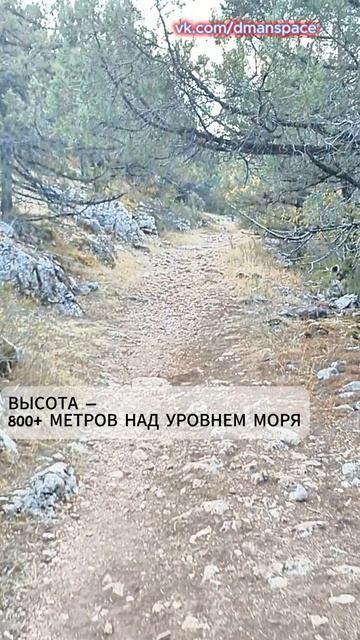 Римская тропа смотреть онлайн