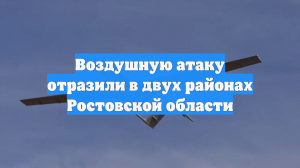 Над Ростовской областью уничтожили два БПЛА самолетного типа
