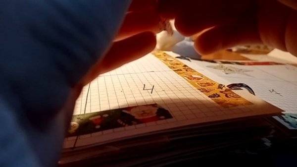 Коллекция capybara.