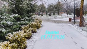 Анапа 15.01.2026