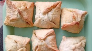 Открыла сезон посадки. ленивая самса