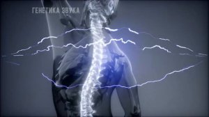 2,5 часа — 7 мощных матриц Петра Гаряева для суставов и хрящевой ткани