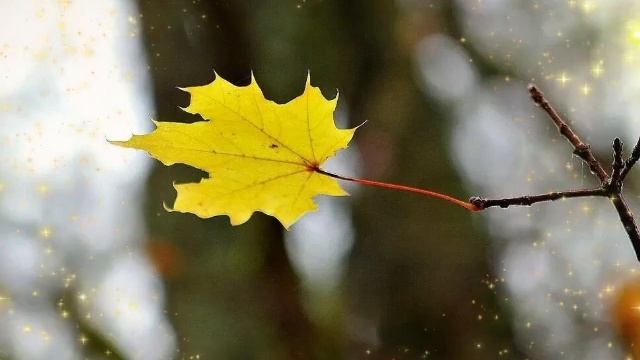 ГОДЫ ЛЕТЯТ, КАК ПТИЦЫ В НЕБЕ смотреть онлайн