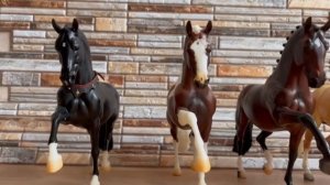 Конга Breyer. 2017 -2026