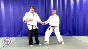 Катате дори шихо наге (6 кю). Демонстрирует: Н.Н. Егоров, 6 дан айкидо