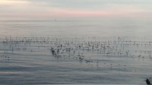 Алушта, после шторма, 2026 январь