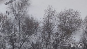 Влог. Пробую десерт манго из Чижика. Готовлю. Снег выпал в Москве.