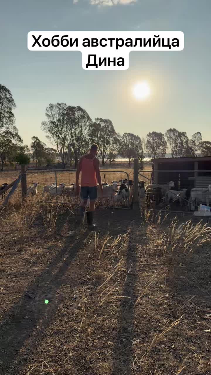 Хобби Дина смотреть онлайн