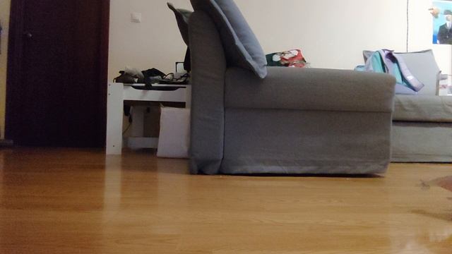 любимый дракон на этот момент смотреть онлайн