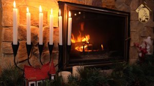 Залесье (Дом Лесника) | Новогоднее поздравление