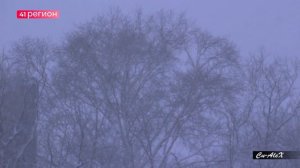 СТОЛИЦА КАМЧАТКИ: ПОГОДА НА 15.01 • БЕЗ КОММЕНТАРИЕВ