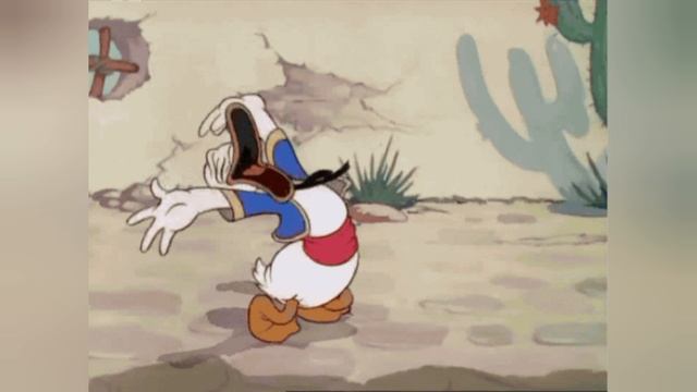 Женщины, мужчины и котики 😁 смотреть онлайн