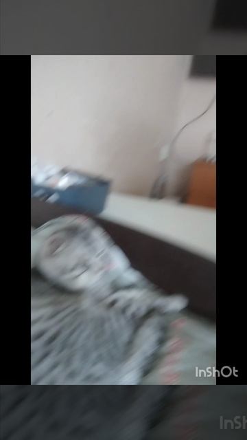 варю рассольник, мой кот какая у нас погода 🥴 смотреть онлайн