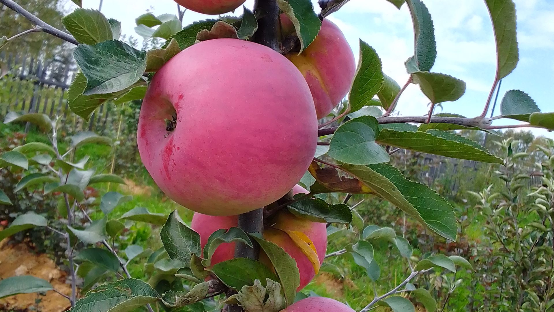 Отвечаю на комментарии подписчиков! 16.01.2026 смотреть онлайн