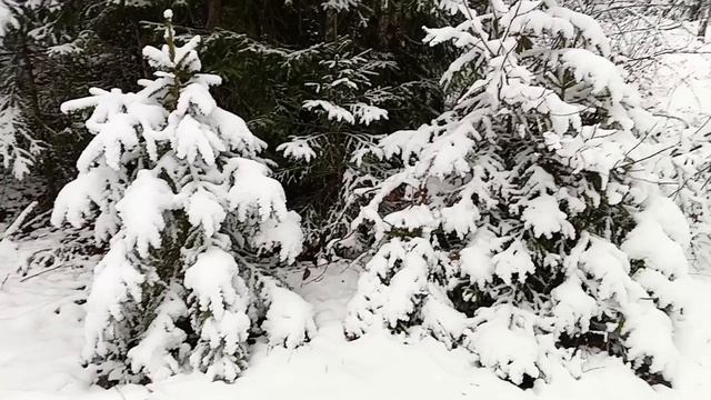 #зима в январе полным ходом смотреть онлайн