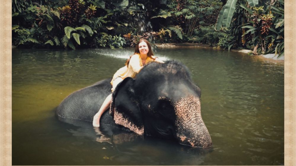 Невероятный Пхукет: обнимашки со слонами смотреть онлайн